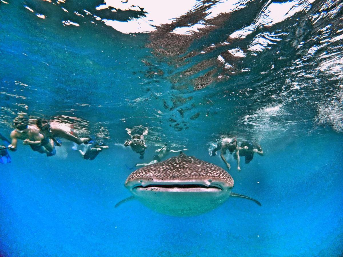 Athiri Beach Maldives Dhigurah  Luaran gambar