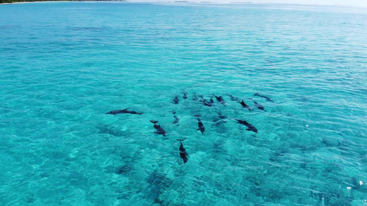 Athiri Beach Maldives Dhigurah  Luaran gambar